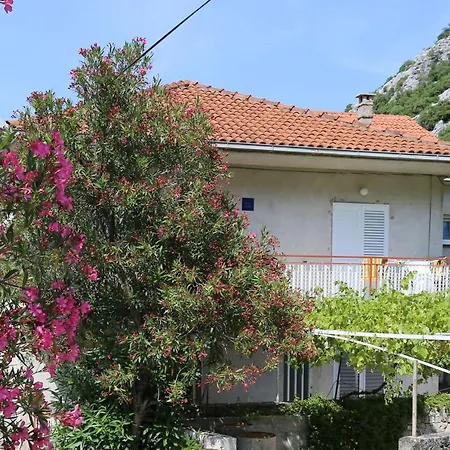 Duba Peljeska, Peljesac - 10230 奥瑞比克